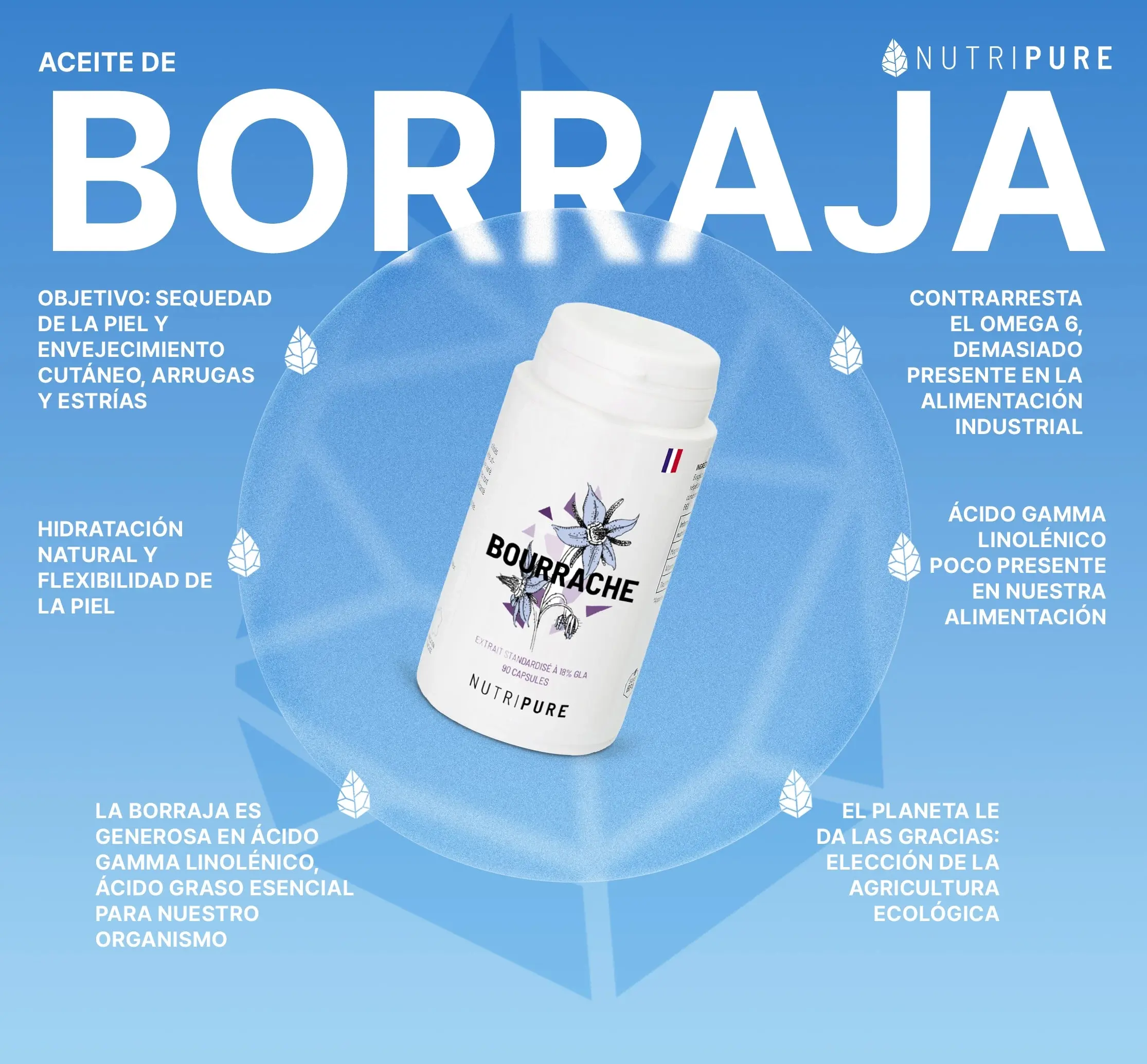 Aceite de Borraja - Image 16