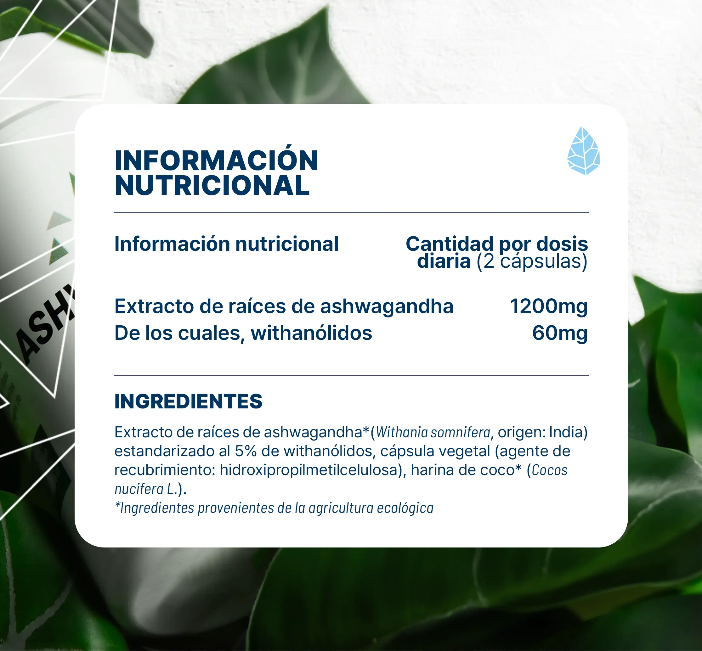 Ashwagandha ecológica KSM66 - Image 4