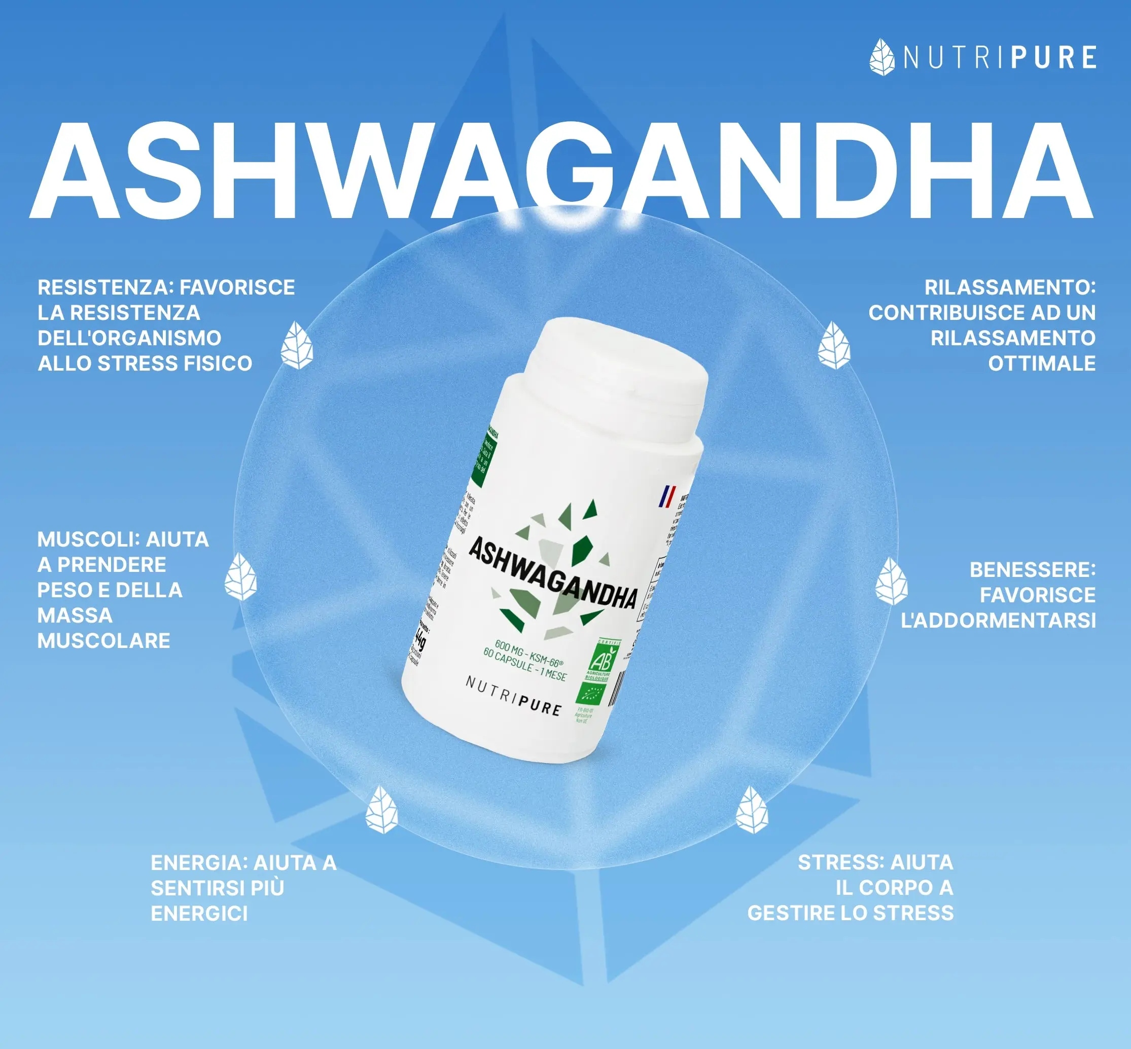 Ashwaganda bio KSM66 - Image 16