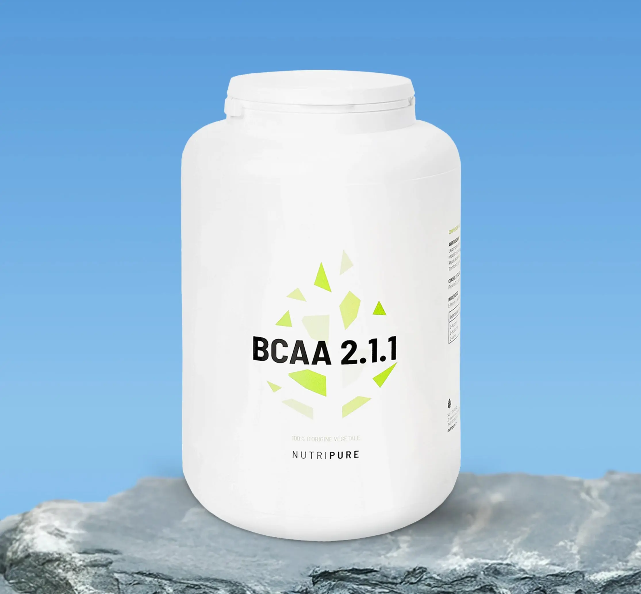 BCAA 2.1.1 - Image 8