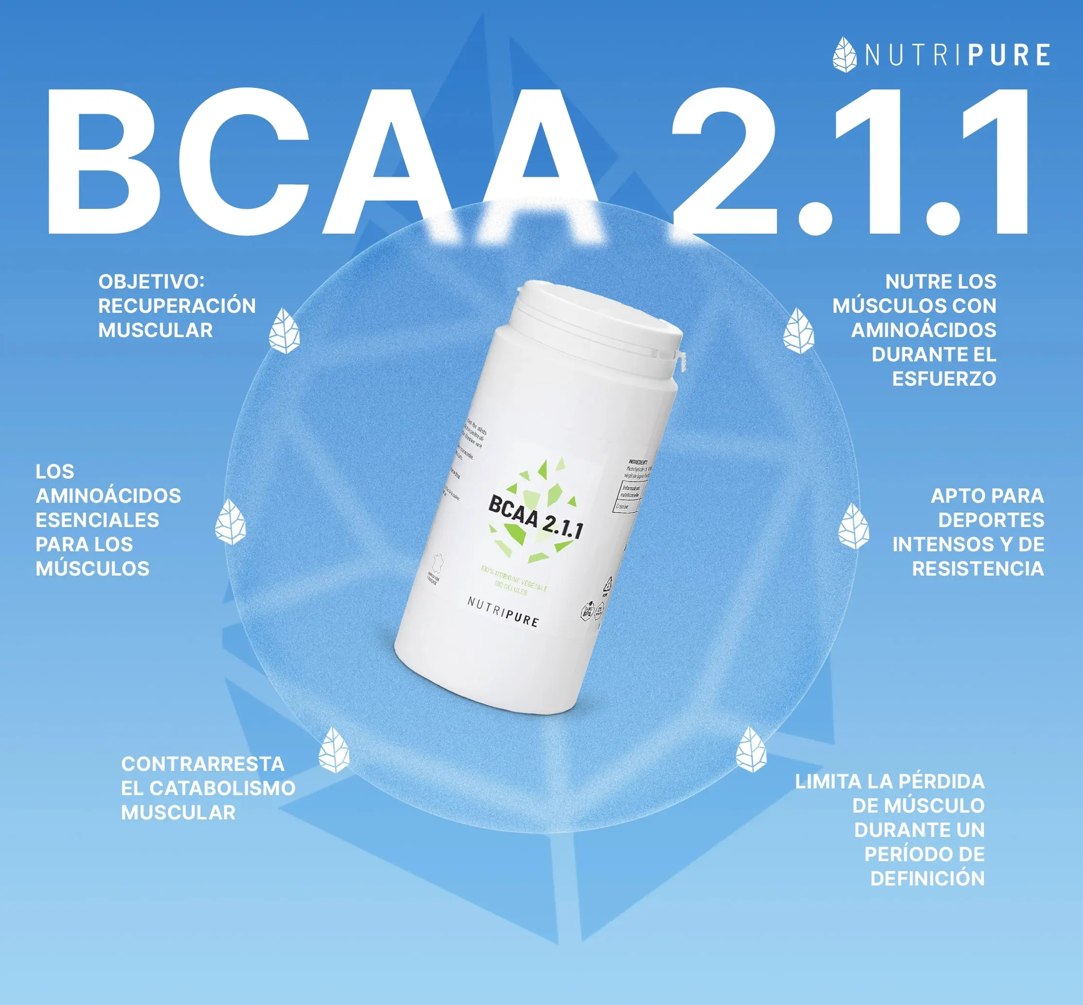 BCAA 2.1.1 - Image 37