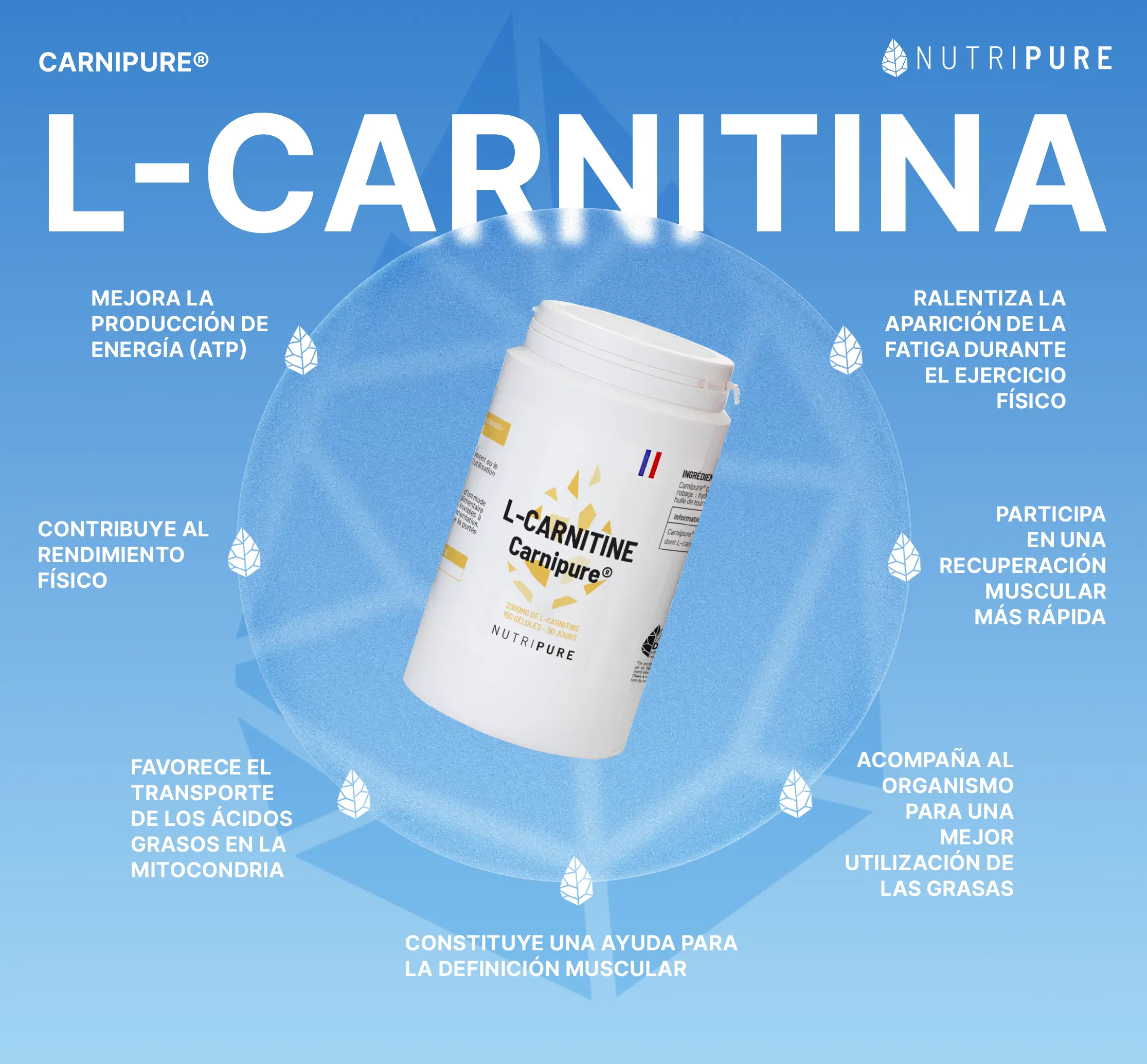 Carnitina Carnipure® - Image 16