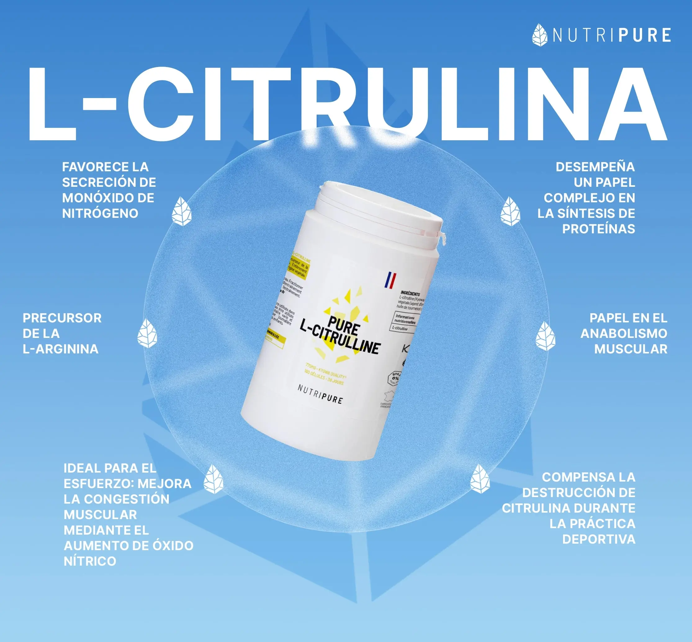 Citrulina - Image 2