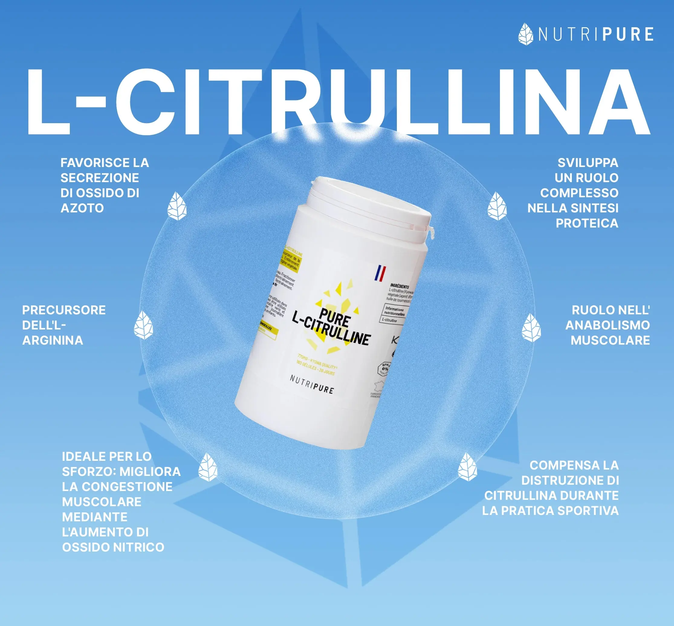 Pure Citrullina - Image 9