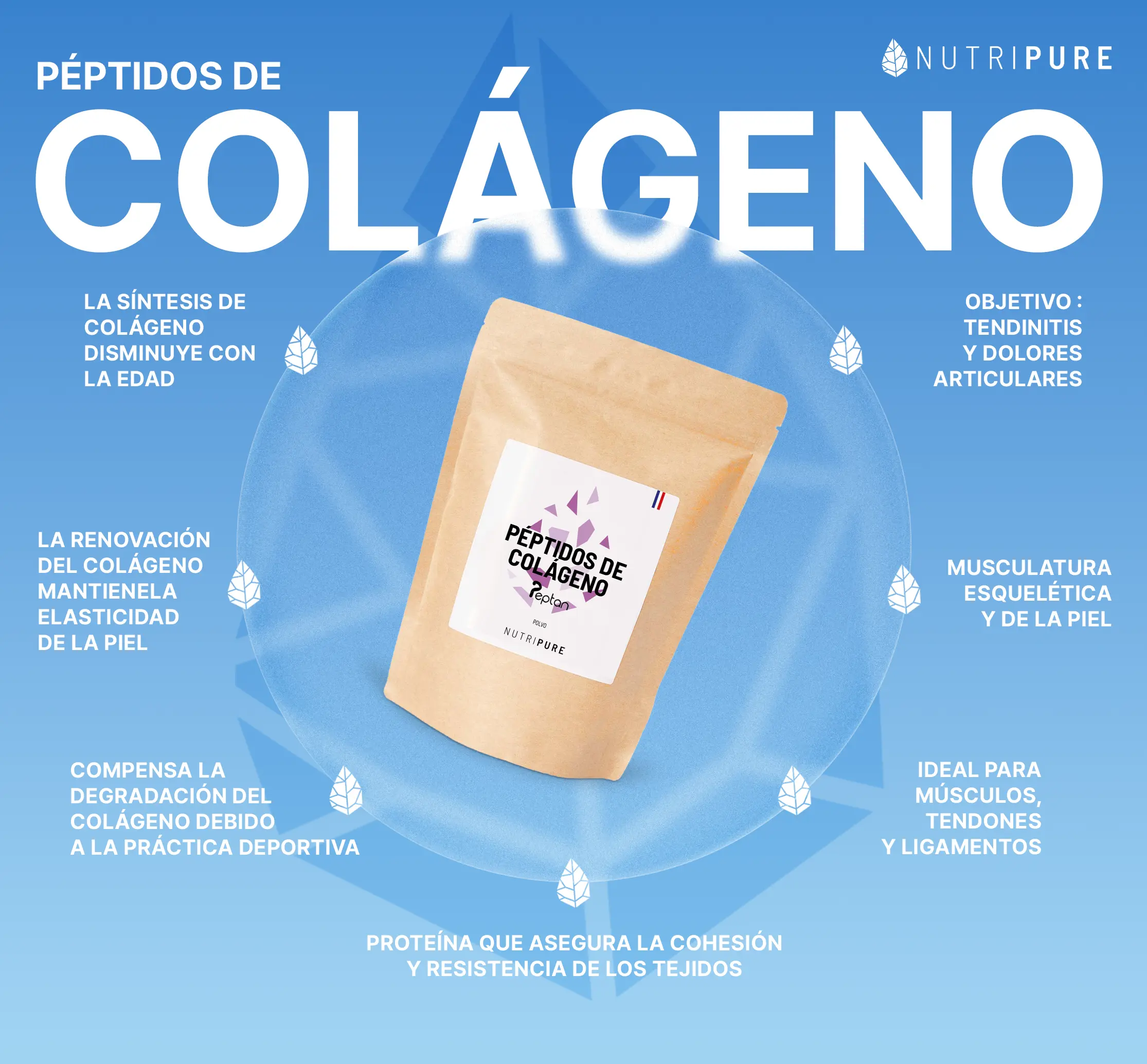 Colágeno hidrolizado Peptan - Image 9