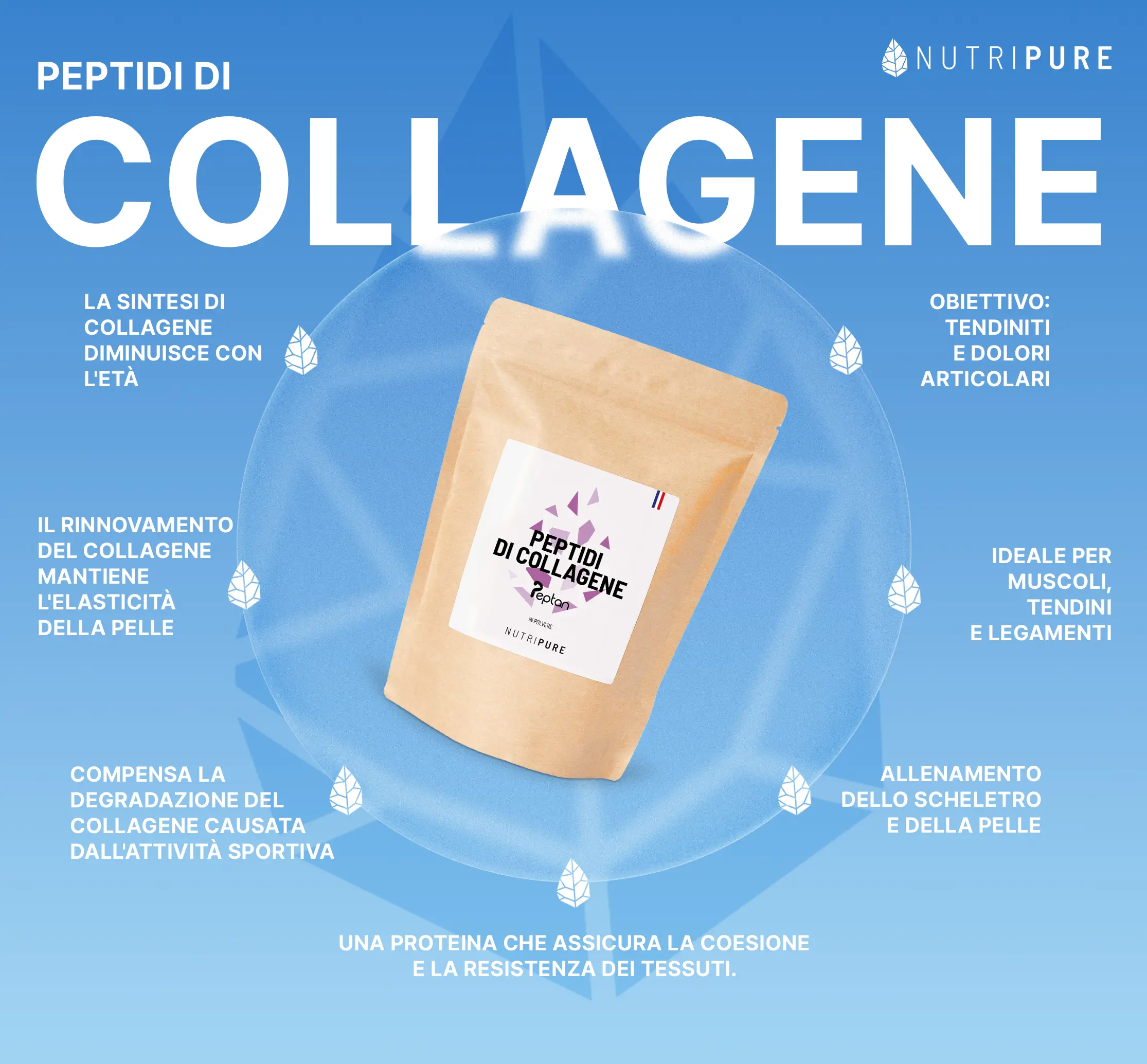 Collagene idrolizzato Peptan - Image 9