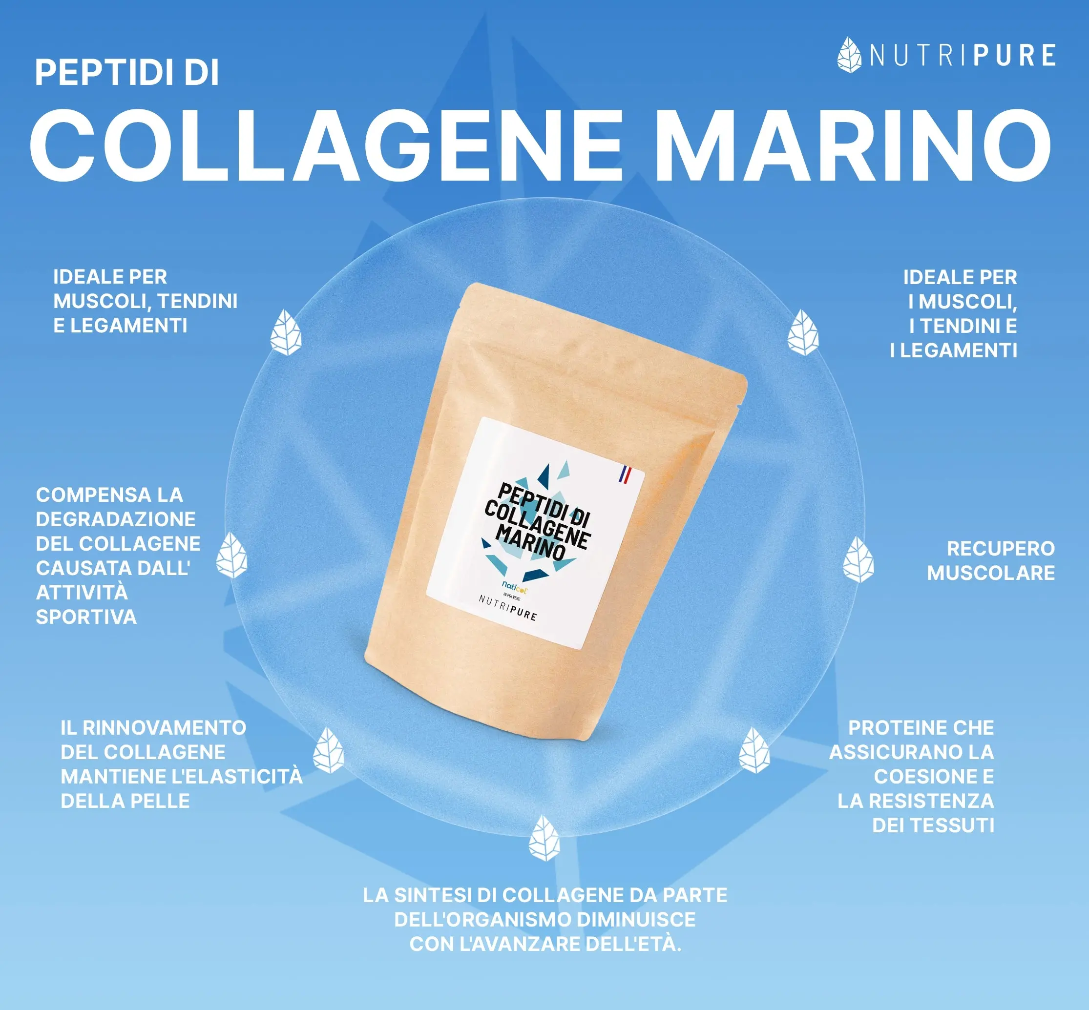 Collagene Marino Selvaggio - Image 51
