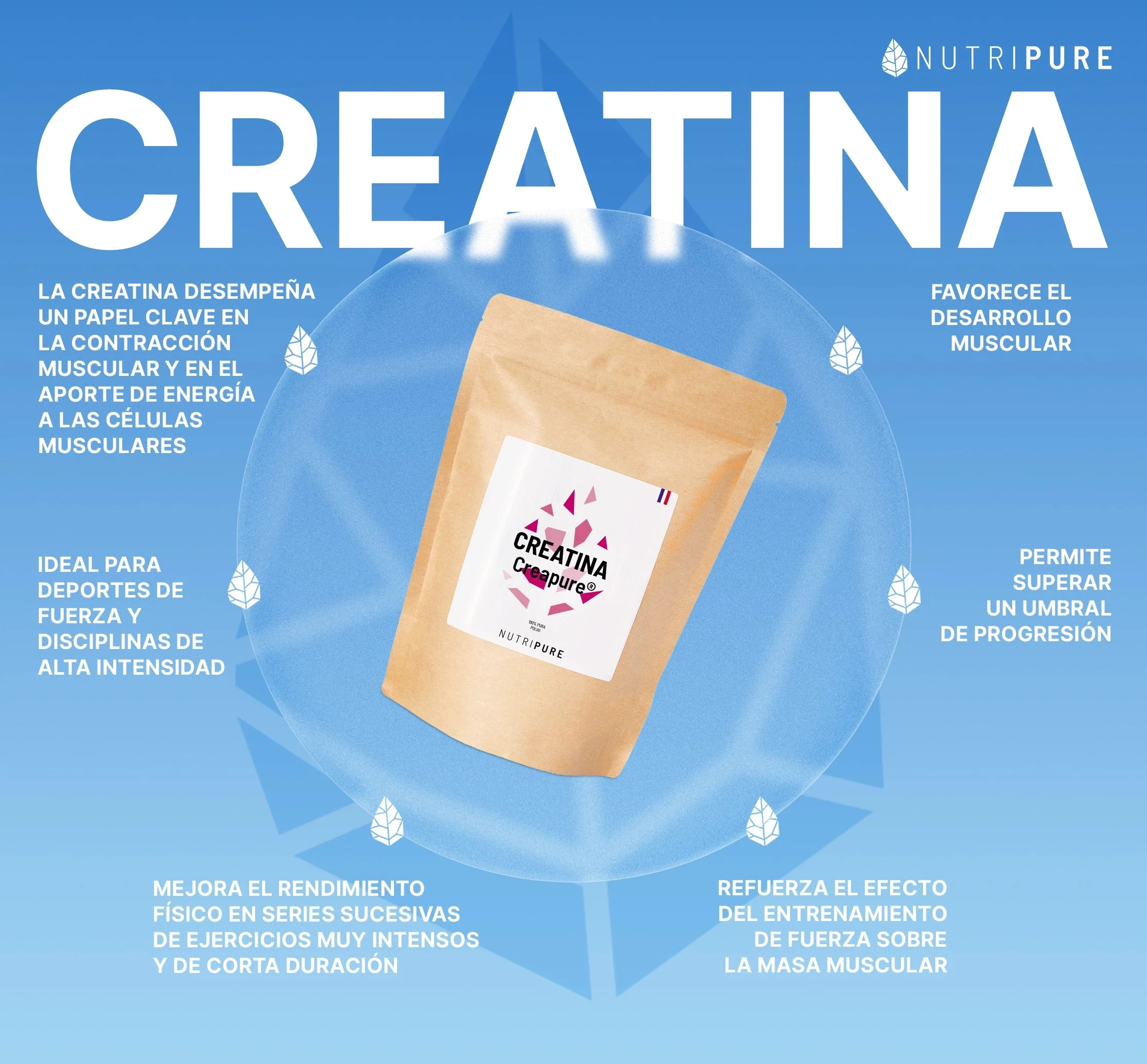 Creatina (Creapure®) - Image 23