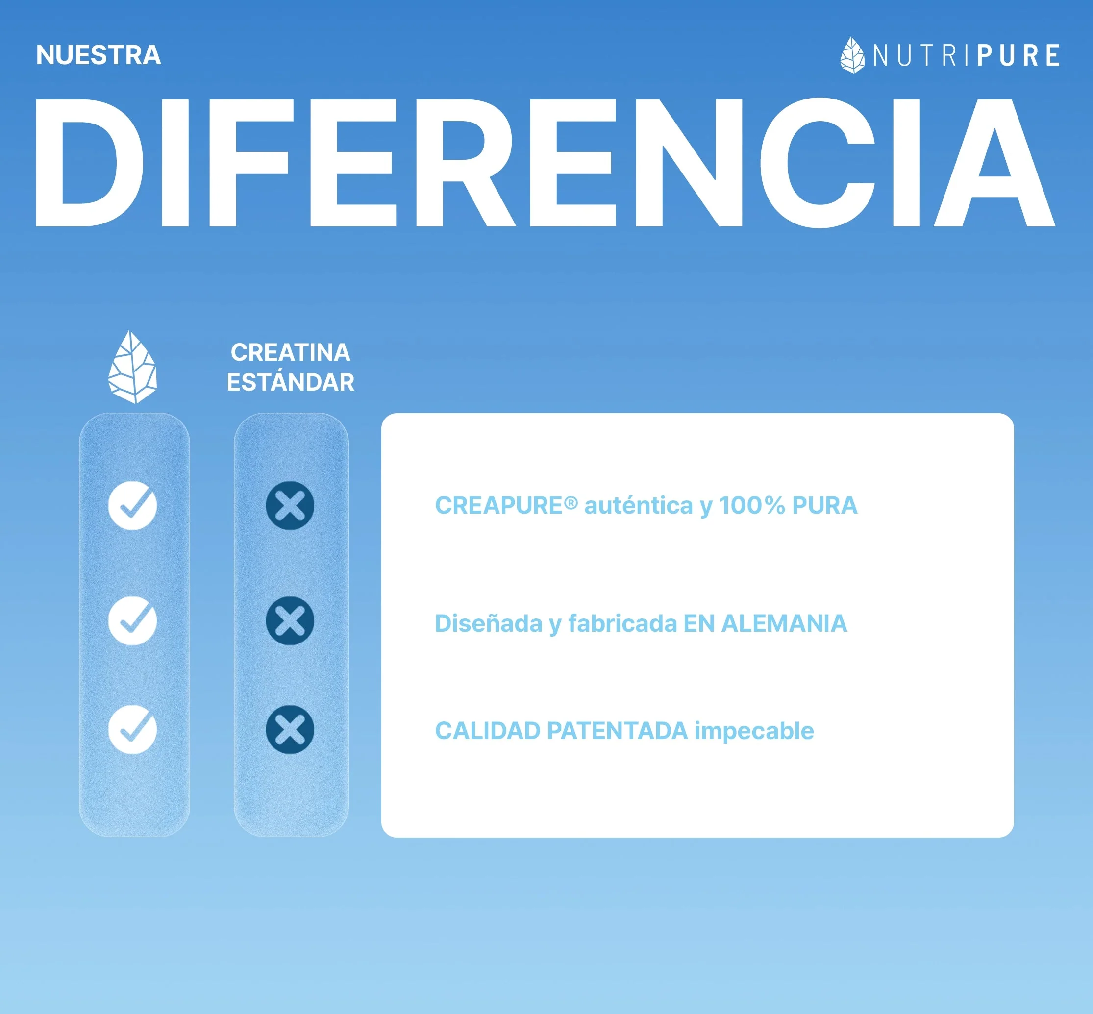 Creatina (Creapure®) - Image 6
