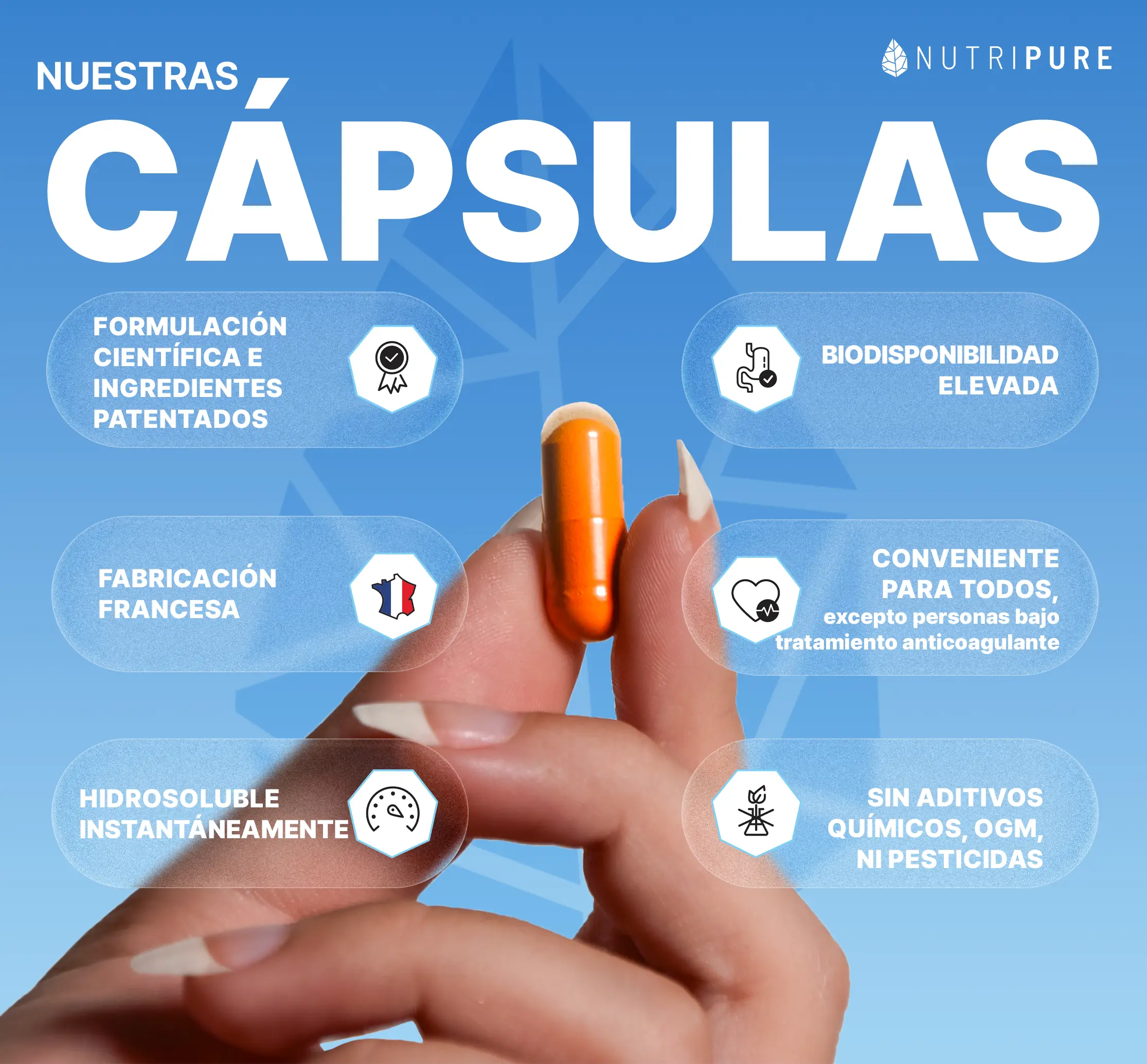 Curcumina Activa - Image 5