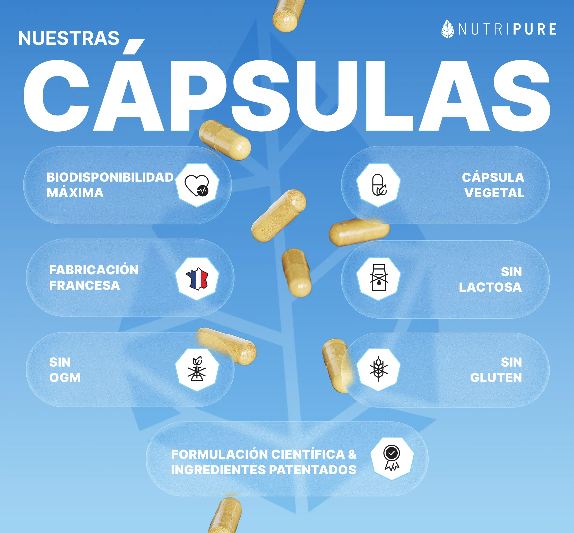 Multivitamínico - Image 5