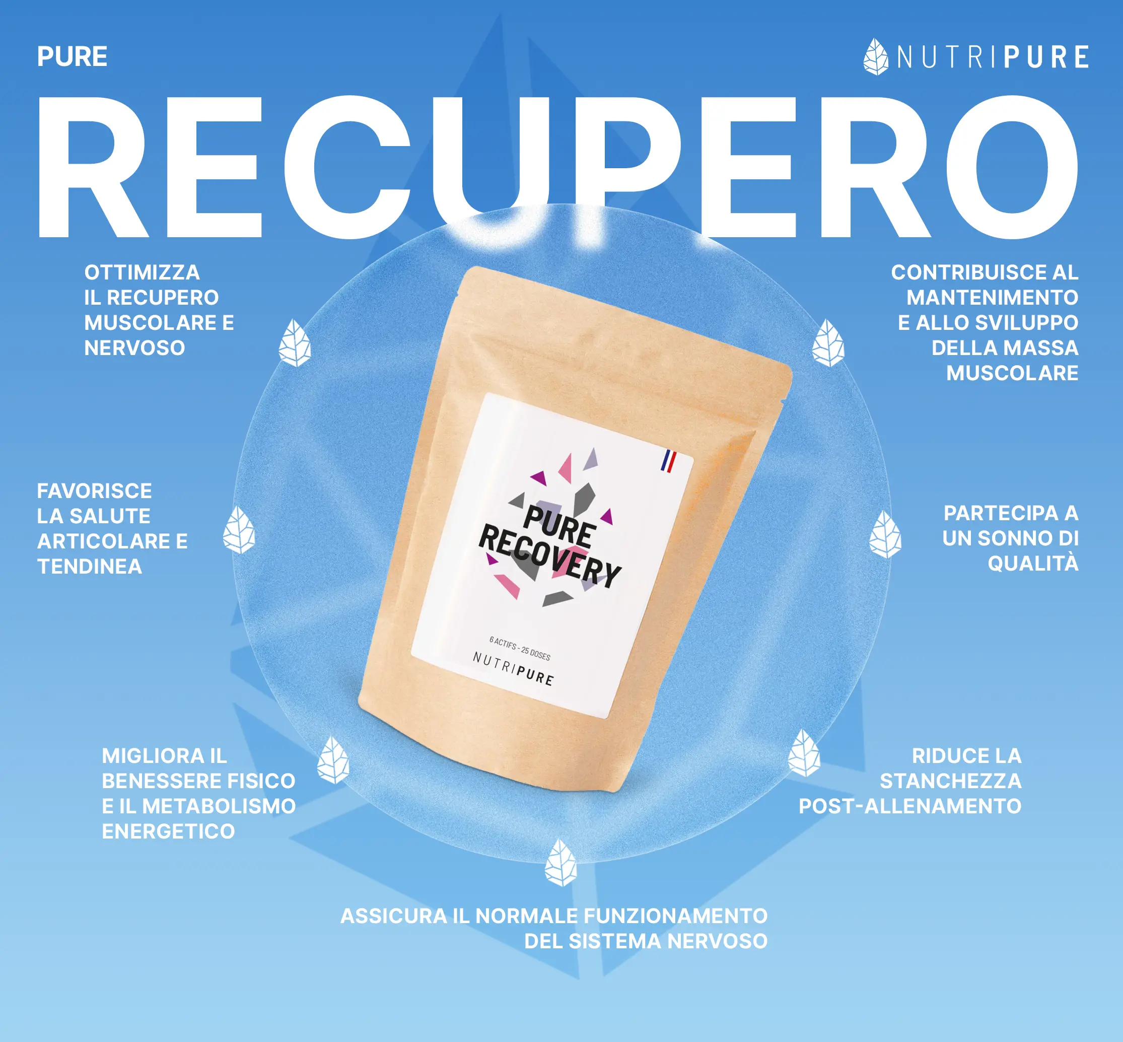 Pure Recovery - Post Workout - Image 30