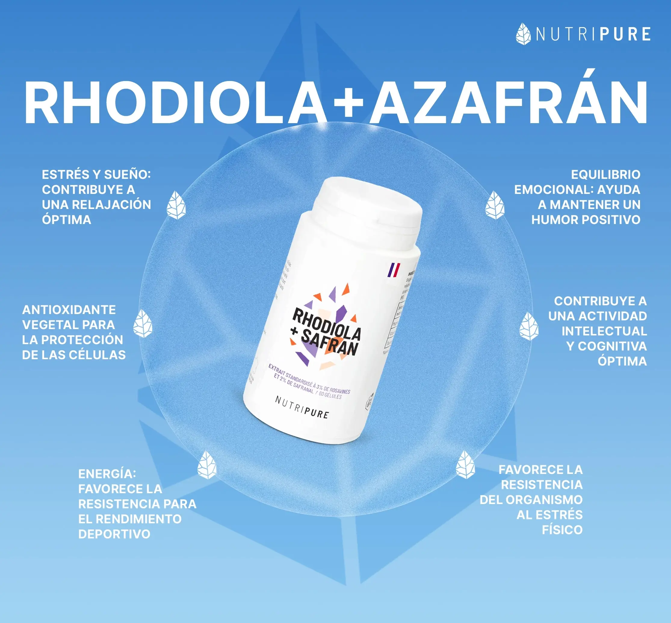Rhodiola Rosea + Azafrán - Image 16
